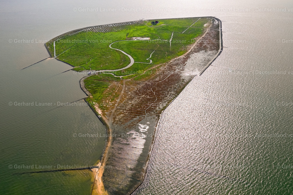 3091050 | Hallig Südfall, Nationalpark Schleswig-Holsteinisches Wattenmeer.