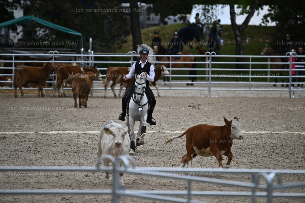 PI26_COW_Sara Landvogt226_7574.JPG | working equitationturnier fotograf videograf stoibphotography marixx film working equitation deutschland reitsport turnierfotografie eventfotografie equestrian events