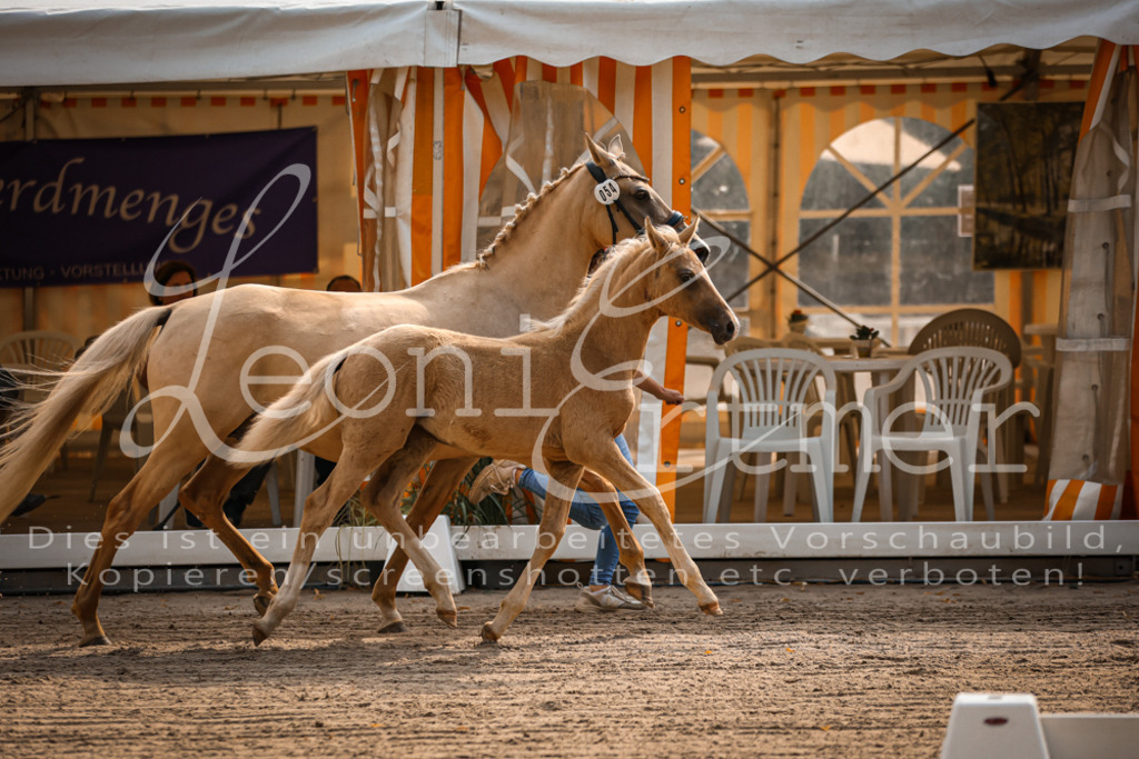 10.DoRP00027 | Leoni Ertmer Photography - Realisiert mit Pictrs.com