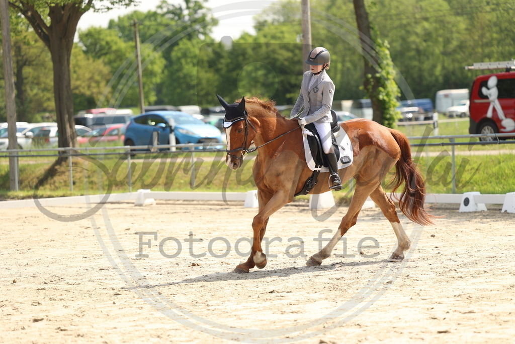 994A7153 | sabrinanicolaifotografie - Realisiert mit Pictrs.com