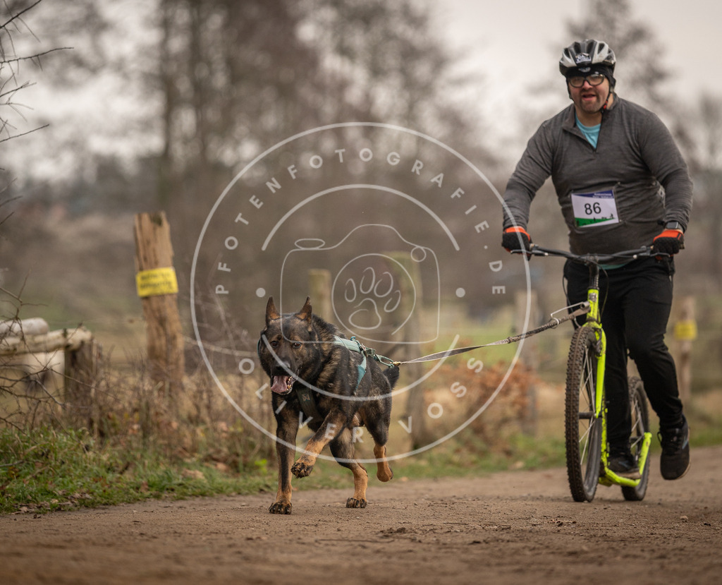 Pfotenfotografie_DV3A4106 | Hundefotografie, Tierfotograf, Pfotenfotografie, Fotoshooting Hund, Hunde Portrait, Hundesport, Hundeportraits, Heideshooting, Hunde, Sportfotograf, Hundefotograf, Turnierhundsport, THS,  - Realisiert mit Pictrs.com