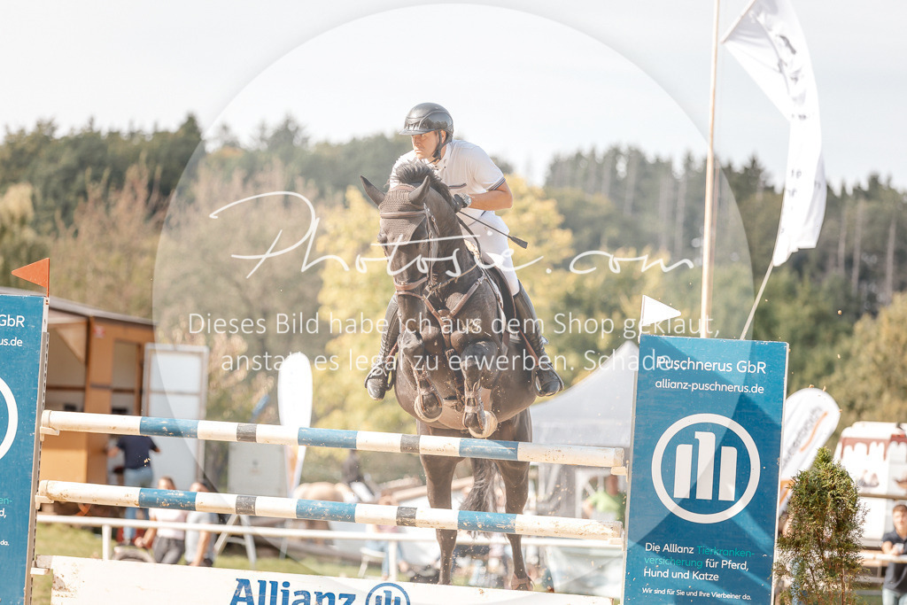 3I6A4737 | Stimmungsvolle Portraits und Reitsportfotografie im Ruhrgebiet und im Münsterland.

Pferdefotografie, Hundefotografie, Tierfotografie, Reportagen, Portraits von Tier und Mensch, Turnierfotografie in Bochum, Recklinghausen, Marl, Haltern am See, Dülmen.. - Realisiert mit Pictrs.com