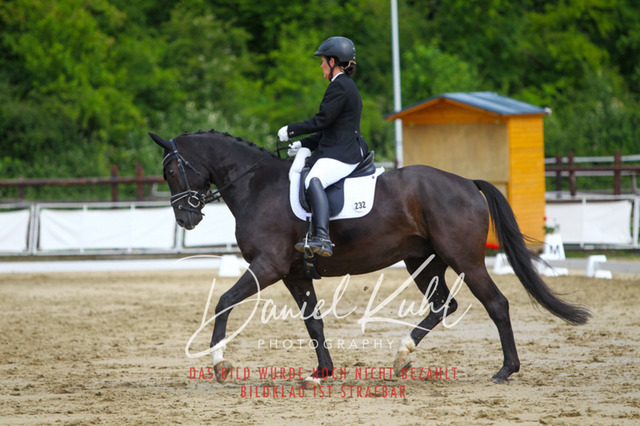 DKP45617 | Turniersportfotografie; Pferdefotografie; Dressurfotografie