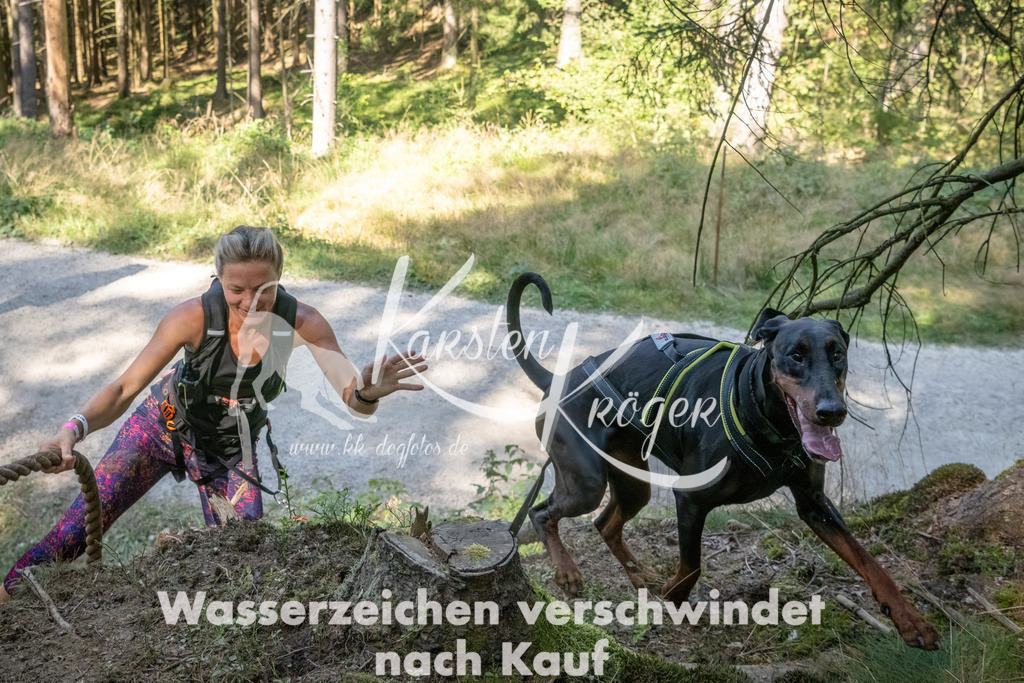 1227_ZZ94589 | kk-dogfotos