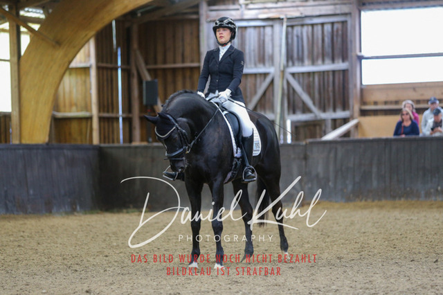 IMG_0422 | Turniersportfotografie; Pferdefotografie; Dressurfotografie