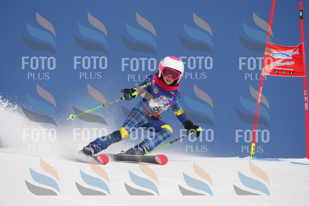 _W1G0846 | holidayphoto