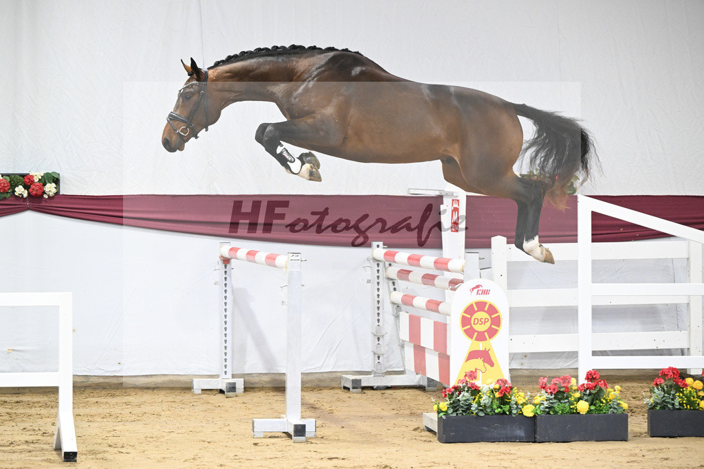 Kat-Nr. 3 Jasper x Carolus I_Klemens Zeil _47250062 | hf-fotografie - Realisiert mit Pictrs.com