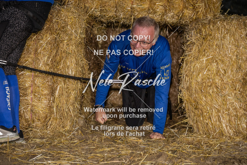 nelerasche_FrNacht_308 | nelerasche