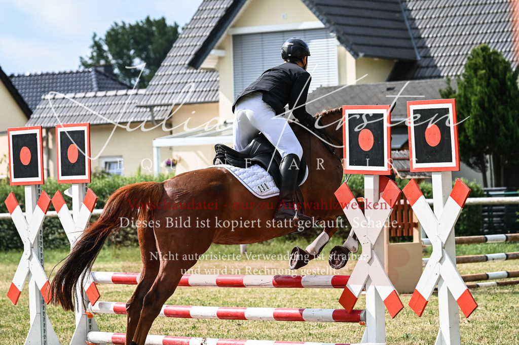 DSC_8171 | Pferde- und Turnierfotografie in Westsachsen. Pferdeportraits, Auftragszeichnungen und intuitive Kunst.