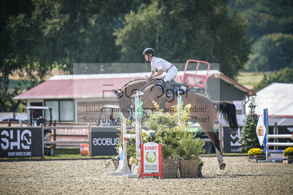 DOS_8313 | Entdecke hochwertige Reitturnierfotos von Foto Oger. Professionell, emotional und authentisch – jetzt Lieblingsmomente im Shop bestellen.Deutschlandweite Turnierfotografie. - Realisiert mit Pictrs.com