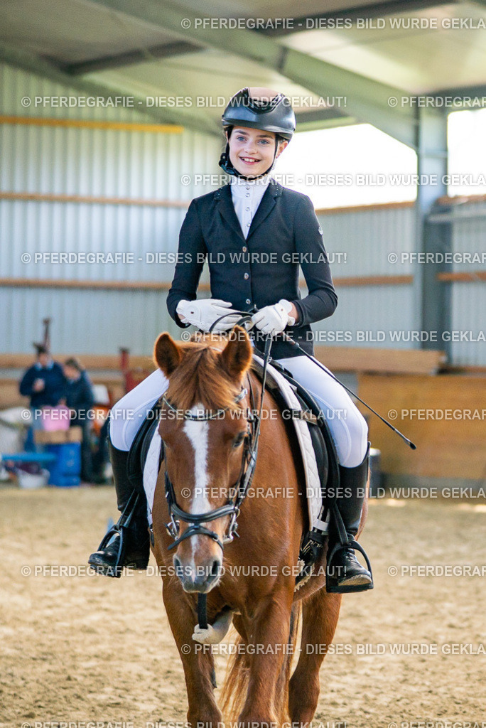 DSC01704 | Pferdegrafie