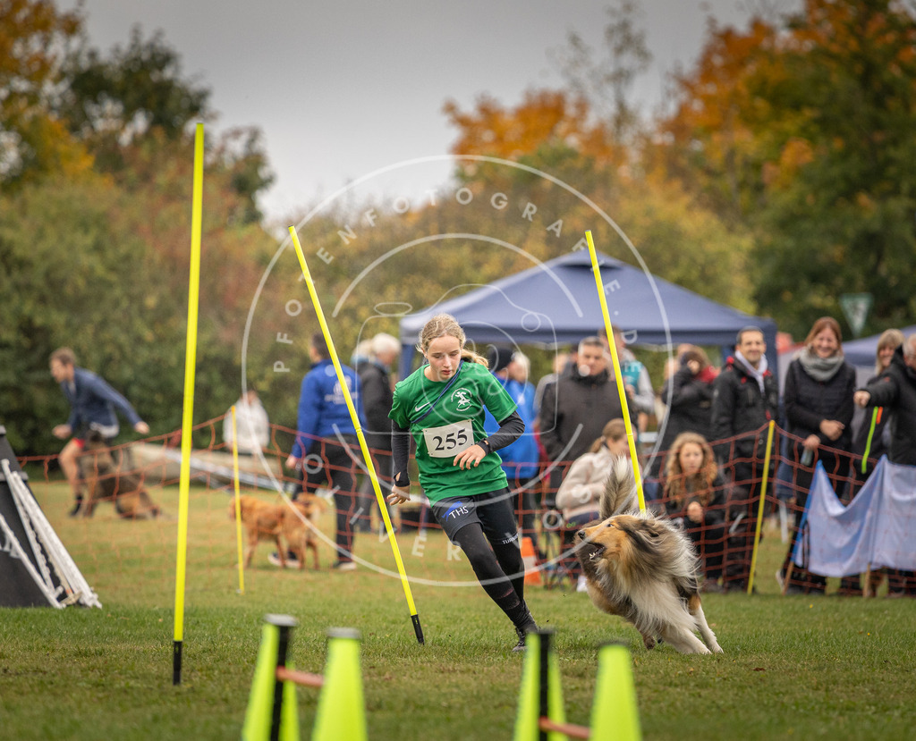 Pfotenfotografie_DV3A6610 | Hundefotografie, Tierfotograf, Pfotenfotografie, Fotoshooting Hund, Hunde Portrait, Hundesport, Hundeportraits, Heideshooting, Hunde, Sportfotograf, Hundefotograf, Turnierhundsport, THS,  - Realisiert mit Pictrs.com