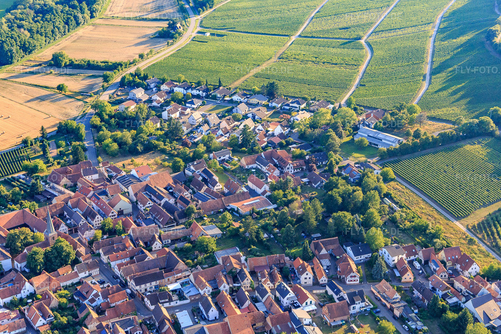 Luftbild: Weinort aus Nordosten im Ortsteil Heuchelheim in Heuchelheim-Klingen im Bundesland Rheinland-Pfalz in Deutschland. Foto: IMG_149438.jpg vom 18.07.2025 durch Werner Riehm/FLY-FOTO.de