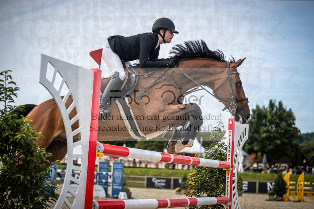 DOS_7228 | Entdecke hochwertige Reitturnierfotos von Foto Oger. Professionell, emotional und authentisch – jetzt Lieblingsmomente im Shop bestellen.Deutschlandweite Turnierfotografie. - Realisiert mit Pictrs.com