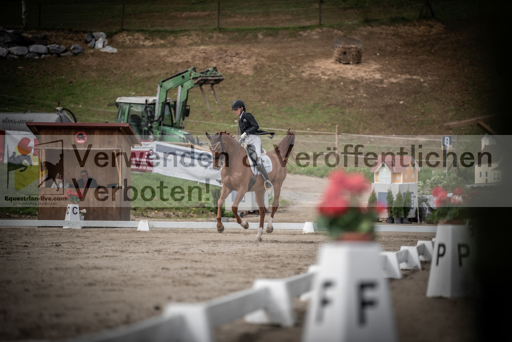 DSC_3126 | equestrian-live-com