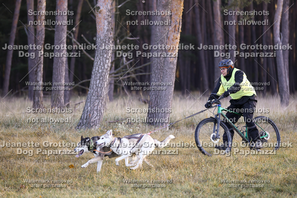 Dog Paparazzi - Elsholz 25 -16 | Dog Paparazzi Jeanette Grottendiek Fotografie & Videografie - Realisiert mit Pictrs.com