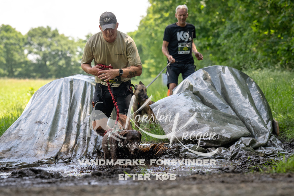 1203_ZZ91135 | kk-dogfotos