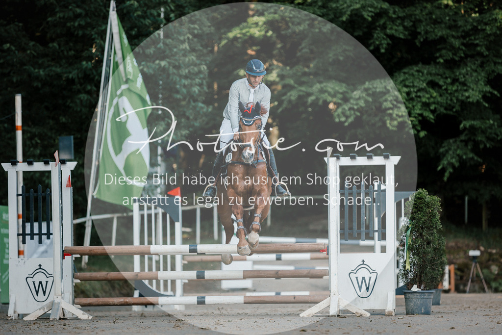 3I6A6089 | Stimmungsvolle Portraits und Reitsportfotografie im Ruhrgebiet und im Münsterland.

Pferdefotografie, Hundefotografie, Tierfotografie, Reportagen, Portraits von Tier und Mensch, Turnierfotografie in Bochum, Recklinghausen, Marl, Haltern am See, Dülmen.. - Realisiert mit Pictrs.com
