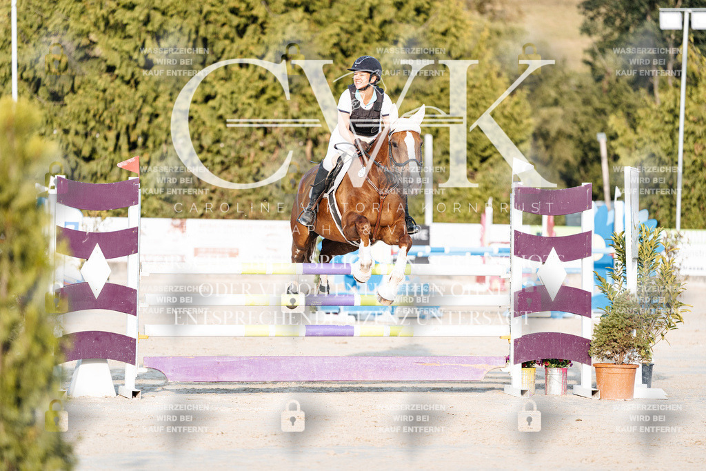 CK900691 | Turnierfotografie Pferdefotografie Trier Rheinland-Pfalz Pferdesport Reitsport Tierfotografie Sportfotografie Pferdevideo Pferdevideografie Equestrianvideography equestrianphotography  - Realisiert mit Pictrs.com