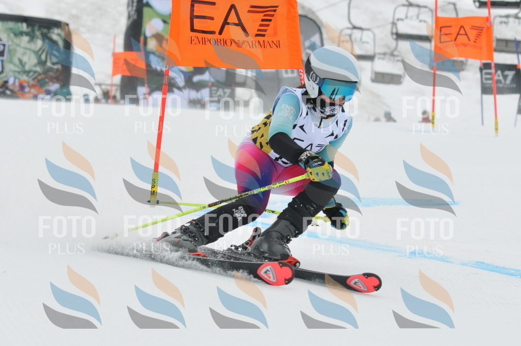 DSC_8895 | holidayphoto