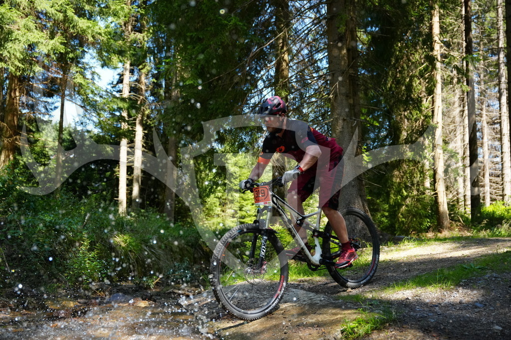FC101824 | Fotogalerie der Treibjagd im Dunkelwald - Dein MTB Etappenrennen im Erzgebirge - Realisiert mit Pictrs.com