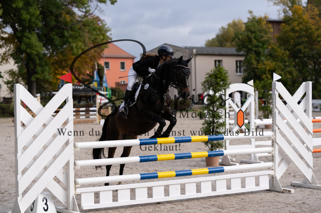 A7V00437 | Pferdefotograf