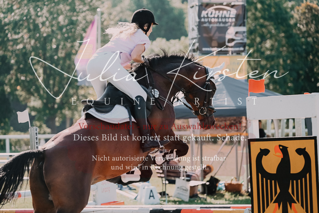 DSC_4795 | Pferde- und Turnierfotografie in Westsachsen. Pferdeportraits, Auftragszeichnungen und intuitive Kunst.