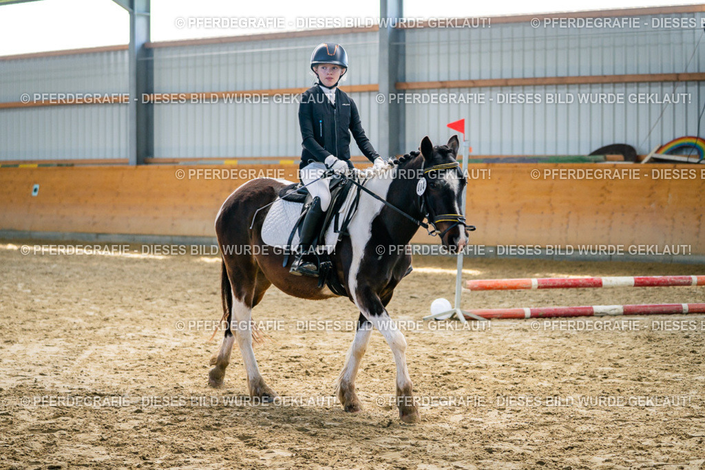 DSC01888 | Pferdegrafie