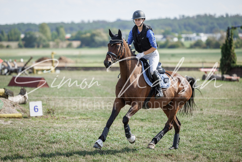 20260905-_3LI9594 | Tierfotografie Pferde, Hunde, Katzen, Haustiere.
Turnierfotografie Reitturniere, Reiten, Springreiten, Dressur in Hanau, dem Main-Kinzig-Kreis und dem Rhein-Main- Gebiet um Frankfurt