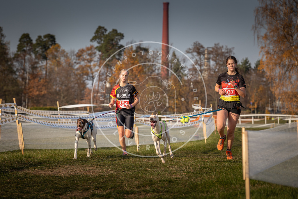 CaniXpix_0L8A0092 | Hundefotografie, Tierfotograf, Pfotenfotografie, Fotoshooting Hund, Hunde Portrait, Hundesport, Hundeportraits, Heideshooting, Hunde, Sportfotograf, Hundefotograf, Turnierhundsport, THS,  - Realisiert mit Pictrs.com