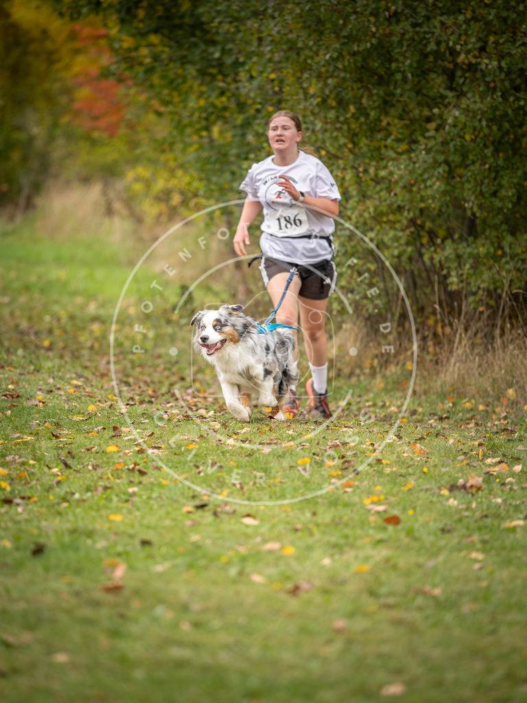 Pfotenfotografie_DV3A3667 | Hundefotografie, Tierfotograf, Pfotenfotografie, Fotoshooting Hund, Hunde Portrait, Hundesport, Hundeportraits, Heideshooting, Hunde, Sportfotograf, Hundefotograf, Turnierhundsport, THS,  - Realisiert mit Pictrs.com