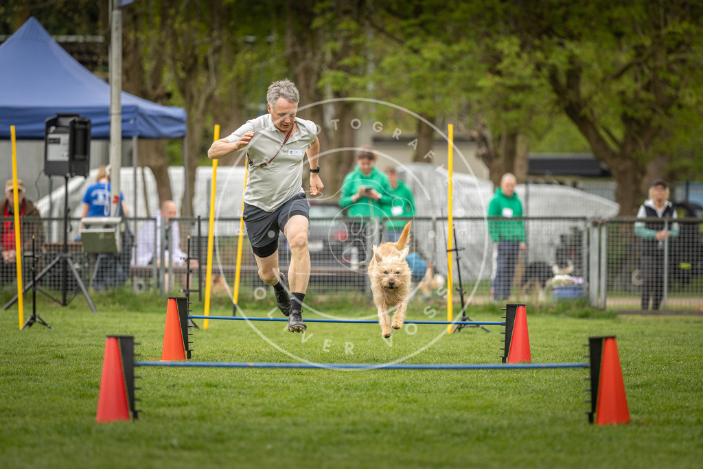 Pfotenfotografie_DV3A2627 | Hundefotografie, Tierfotograf, Pfotenfotografie, Fotoshooting Hund, Hunde Portrait, Hundesport, Hundeportraits, Heideshooting, Hunde, Sportfotograf, Hundefotograf, Turnierhundsport, THS,  - Realisiert mit Pictrs.com