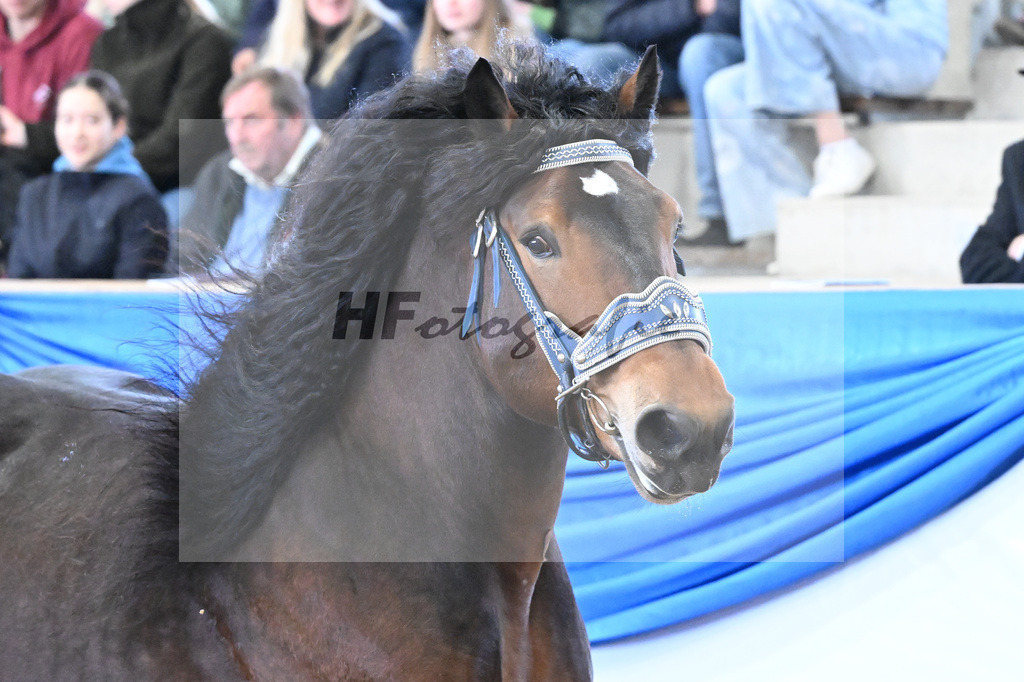 Varco_11260119 | hf-fotografie - Realizzato con Pictrs.com