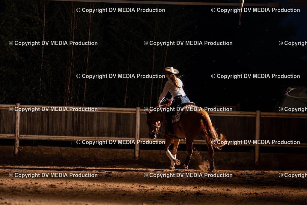 Erbach Tag 1-1316 | dv-media-shop - Realisiert mit Pictrs.com