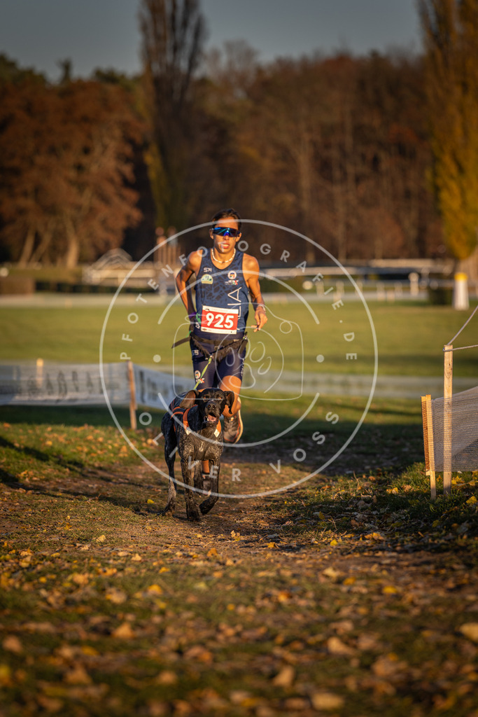 CaniXpix_DV3A5011 | Hundefotografie, Tierfotograf, Pfotenfotografie, Fotoshooting Hund, Hunde Portrait, Hundesport, Hundeportraits, Heideshooting, Hunde, Sportfotograf, Hundefotograf, Turnierhundsport, THS,  - Realisiert mit Pictrs.com