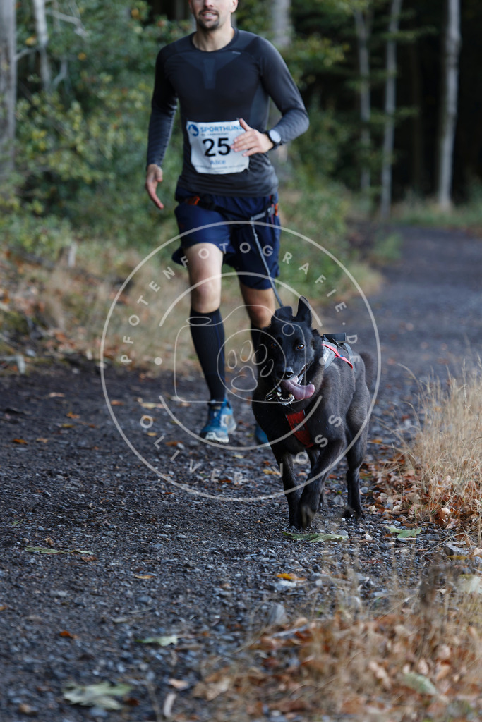 0L8A1517 | Hundefotografie, Tierfotograf, Pfotenfotografie, Fotoshooting Hund, Hunde Portrait, Hundesport, Hundeportraits, Heideshooting, Hunde, Sportfotograf, Hundefotograf, Turnierhundsport, THS,  - Realisiert mit Pictrs.com