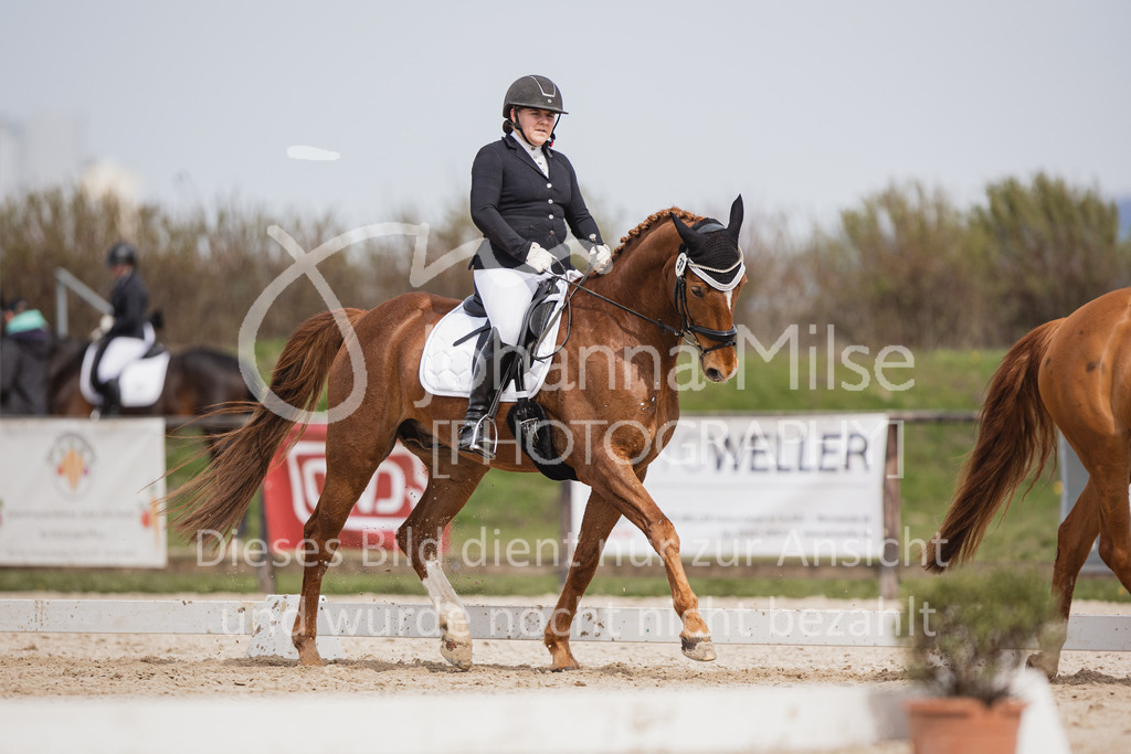 230410_Frühlingsfest_A-Dressur-464 | Deine schönsten Turniermomente als professionelle Fotos! Entdecke hochwertige Pferdesport-Fotografie im Online-Shop. Jetzt Fotos finden & bestellen!