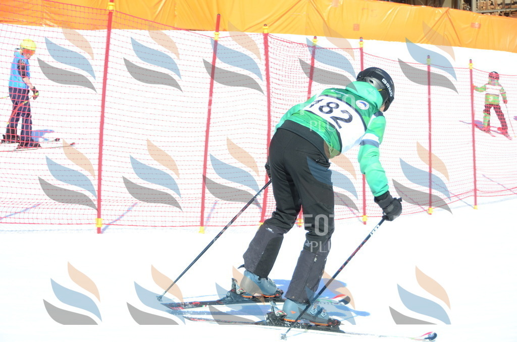 C6419 | holidayphoto