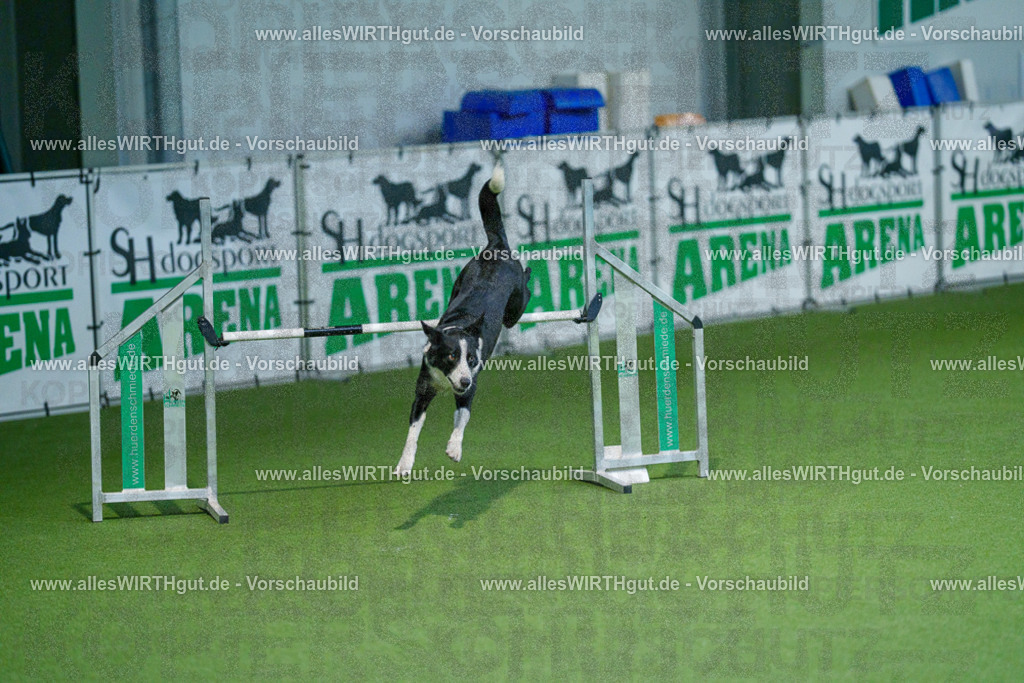 @allesWIRTHgut_Tierfotografie - www.allesWIRTHgut.de - 2604250949-7R509090 | Professionelle Tierfotografie in Mönchengladbach von Daniel Wirth (allesWIRTHgut). Liebevolle & natürliche Bilder von Hunden & Katzen für unvergessliche Erinnerungen.