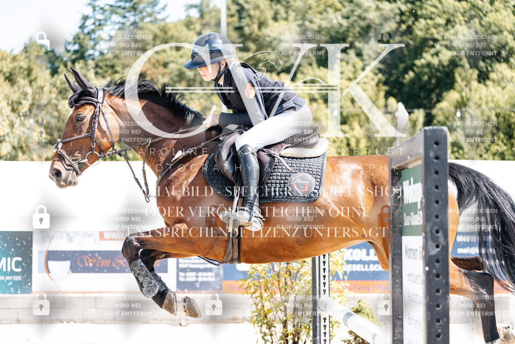 CK909313 | Turnierfotografie Pferdefotografie Trier Rheinland-Pfalz Pferdesport Reitsport Tierfotografie Sportfotografie Pferdevideo Pferdevideografie Equestrianvideography equestrianphotography  - Realisiert mit Pictrs.com