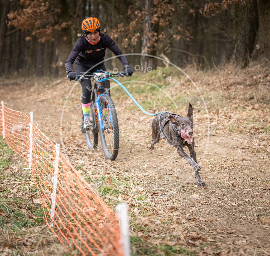 Pfotenfotografie_DV3A1366 | Hundefotografie, Tierfotograf, Pfotenfotografie, Fotoshooting Hund, Hunde Portrait, Hundesport, Hundeportraits, Heideshooting, Hunde, Sportfotograf, Hundefotograf, Turnierhundsport, THS,  - Realisiert mit Pictrs.com