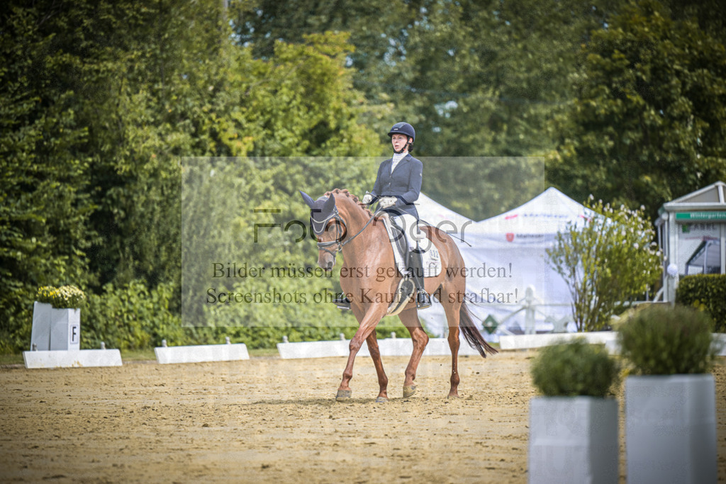 DOS_2396 | Entdecke hochwertige Reitturnierfotos von Foto Oger. Professionell, emotional und authentisch – jetzt Lieblingsmomente im Shop bestellen.Deutschlandweite Turnierfotografie. - Realisiert mit Pictrs.com