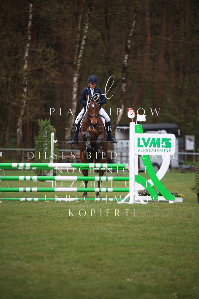 IMGT2421 | pl-fotografie