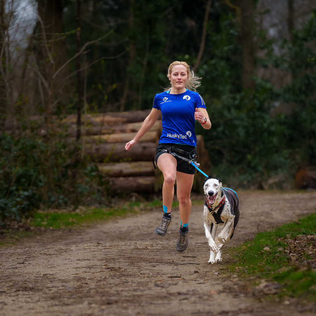 allesWIRTHgut Tierfotografie - 7IV04338 | Professionelle Tierfotografie in Mönchengladbach von Daniel Wirth (allesWIRTHgut). Liebevolle & natürliche Bilder von Hunden & Katzen für unvergessliche Erinnerungen.