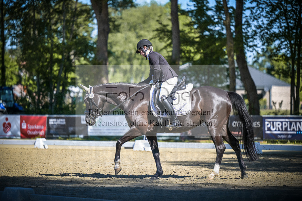 DOS_7317 | Entdecke hochwertige Reitturnierfotos von Foto Oger. Professionell, emotional und authentisch – jetzt Lieblingsmomente im Shop bestellen.Deutschlandweite Turnierfotografie. - Realisiert mit Pictrs.com
