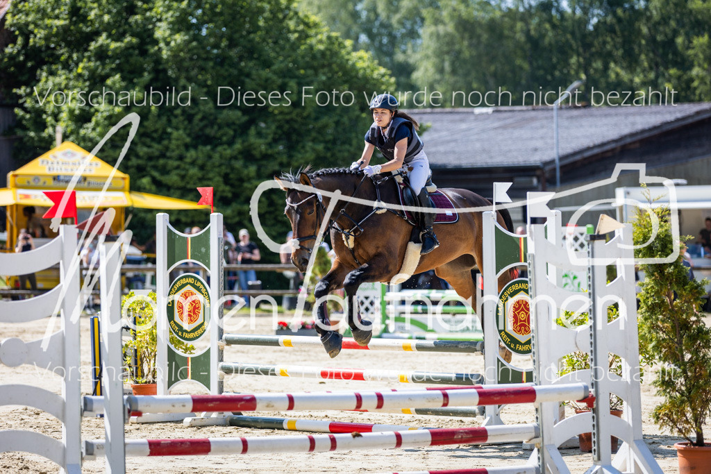 Donop24-ESpr-024 | MomenTaufnahmen Pferdesportfotos