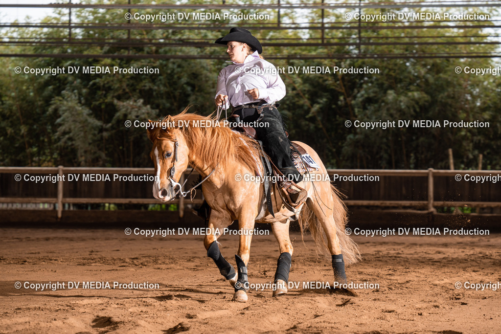 Erbach Tag 2-766 | dv-media-shop - Realisiert mit Pictrs.com