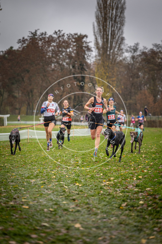 CaniXpix_DV3A8981 | Hundefotografie, Tierfotograf, Pfotenfotografie, Fotoshooting Hund, Hunde Portrait, Hundesport, Hundeportraits, Heideshooting, Hunde, Sportfotograf, Hundefotograf, Turnierhundsport, THS,  - Realisiert mit Pictrs.com