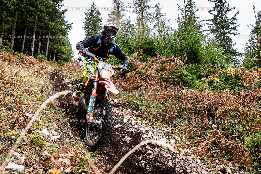 fuernholzer-231026-C4-86 | © Thomas Fuernholzer