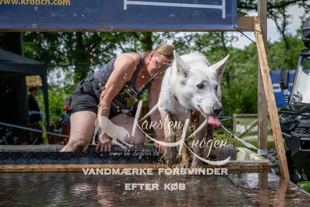 1102_ZZ92511 | kk-dogfotos
